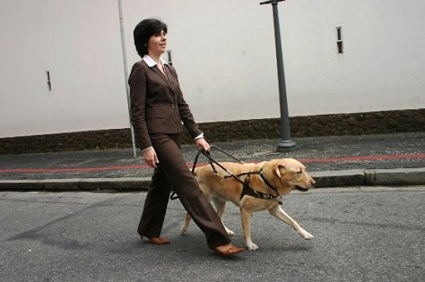 Kobieta idzie z psem przewodnikiem
